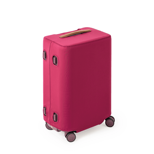 Rd_Trunk Cover Carry On.png